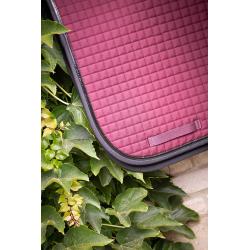 Paddock American S.pad Dr Navy