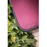Paddock American S.pad Dr Navy