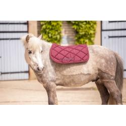 Paddock Sad.pad Prems Sh Red