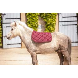 Paddock Sad.pad Prems Sh Red