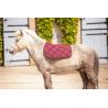 Paddock Sad.pad Prems Sh Red