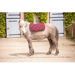 Paddock Sad.pad Prems Sh Red