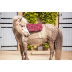 Paddock Sad.pad Prems Sh Red