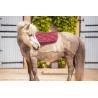 Paddock Sad.pad Prems Sh Red