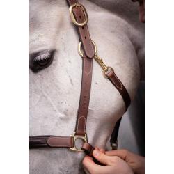 Leather Halter 3 Snap Hav.cs