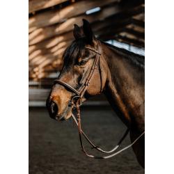 Bridle Hunter Comfy Cs Havana