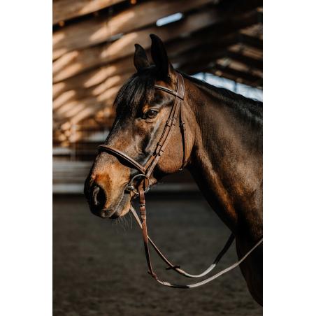 Bridle Hunter Comfy Cs Havana