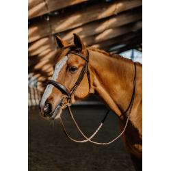 Bridle Hunter Fancy Ps Havana