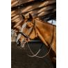 Bridle Hunter Fancy Ps Havana