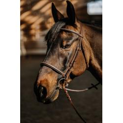 Bridle Hunter Soft Fs Havana