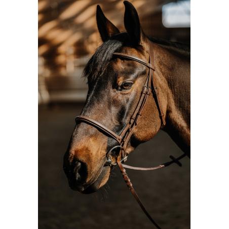 Bridle Hunter Soft Fs Havana