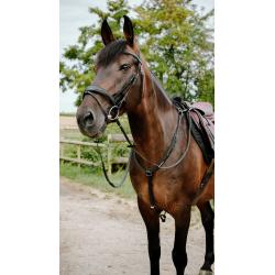 Endurance Bridle Cs Black