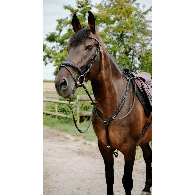 Endurance Bridle Cs Black