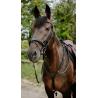 Endurance Bridle Cs Black