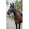 Endurance Bridle Cs Black