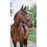 Endurance Bridle Cs Black