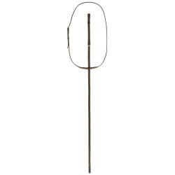 Standing Martingale Fs Havana