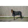Drycool Sheet Std.navy 5'9