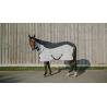Flycool Sheet Cmb.ny/Wht.5'9