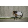 Flycool Walker Rug Ny/Wht.5'9
