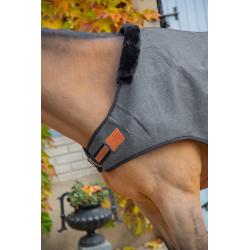 Walk.r Woolt.paddock Gr.ch.6'6