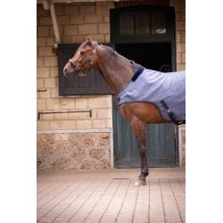 Walk.r Woolt.paddock Gr.ch.6'6