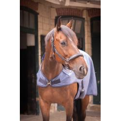 Walk.r Woolt.paddock Gr.ch.6'6