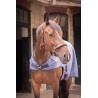 Walk.r Woolt.paddock Gr.ch.6'6