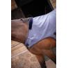 Walk.r Woolt.paddock Gr.ch.6'6