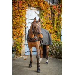 Walk.r Woolt.paddock Gr.ch.6'6
