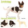  Perro Harness Maestro Negro