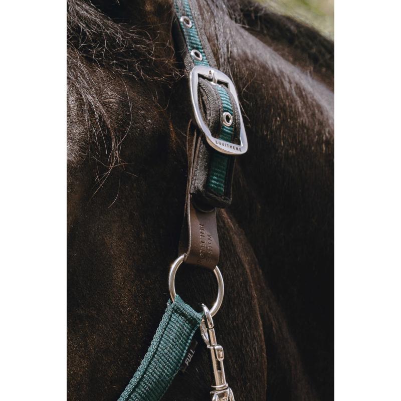 Safety Strap Halter 510263/5