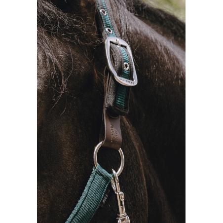 Safety Strap Halter 510263/5