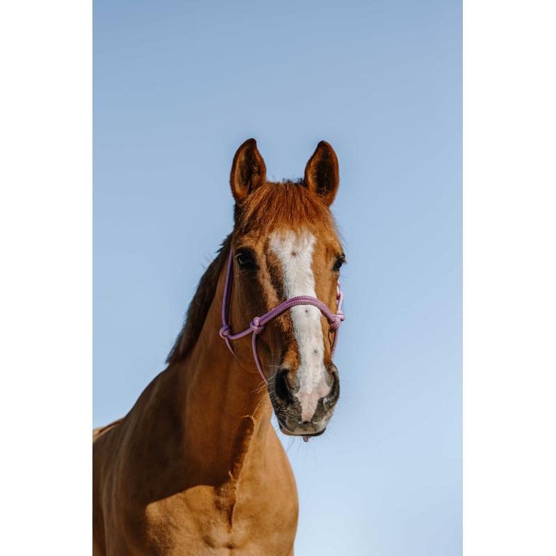 Glim Ethol.halt. Fs Pink/Silv