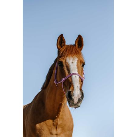 Glim Ethol.halt. Fs Pink/Silv