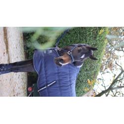 Stable Master 240G Navy 6'0