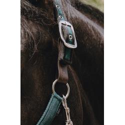 Safety Strap Halter 510263/5