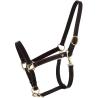 Derby Oily Halter Cs Havana