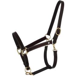 Derby Oily Halter Cs Havana