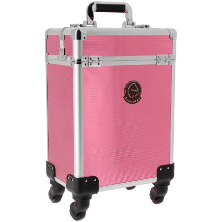 Groombox Jtm With Wheels Pink