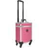 Groombox Jtm With Wheels Pink