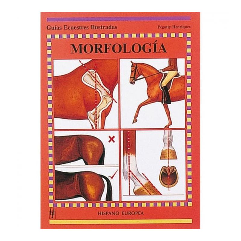  Libro: Guía. Morfología