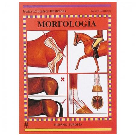  Libro: Guía. Morfología
