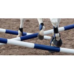 Jumping Set Without Cub Blue