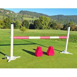 Full Jumping Set With Cub Pink