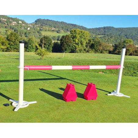 Full Jumping Set With Cub Pink