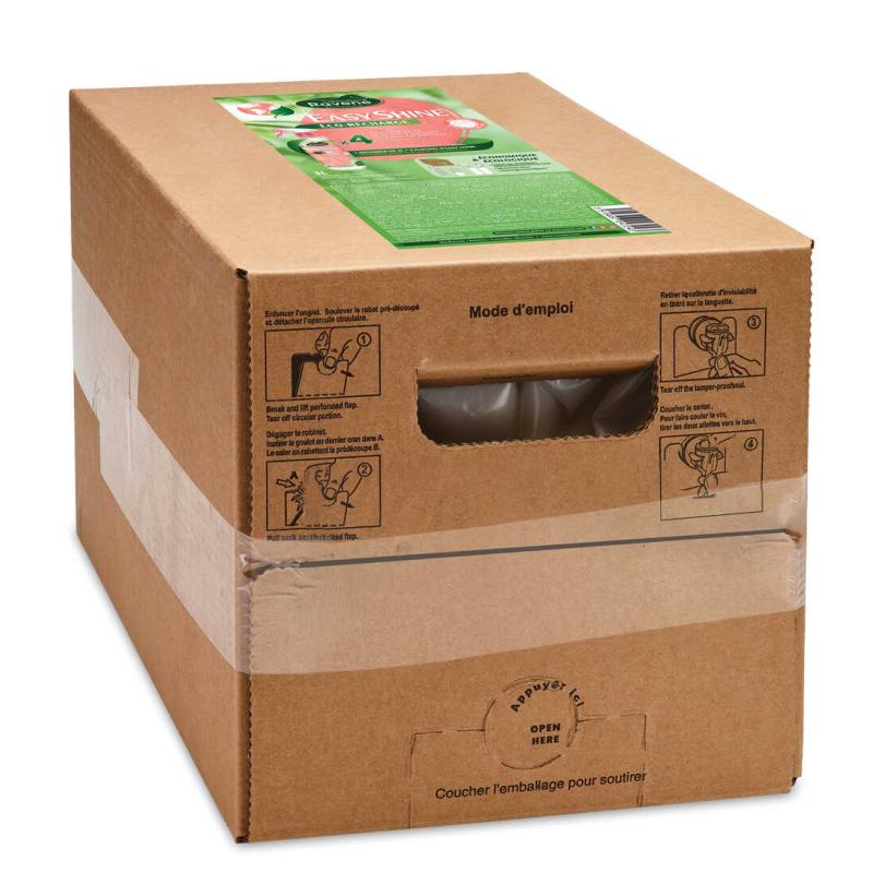 Ravene Easy Shine Replac.3L