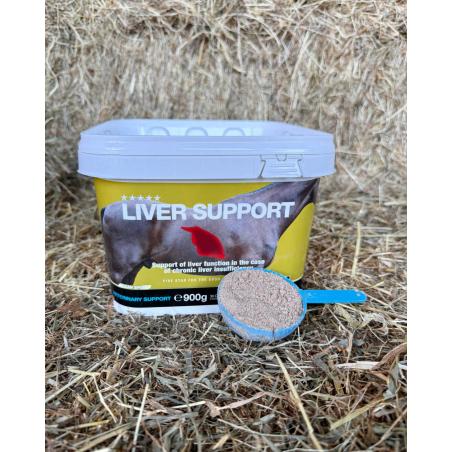 Liver Support 900G