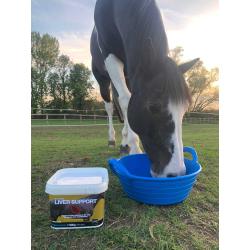 Liver Support 900G