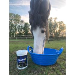 Health-E Muscles 600G